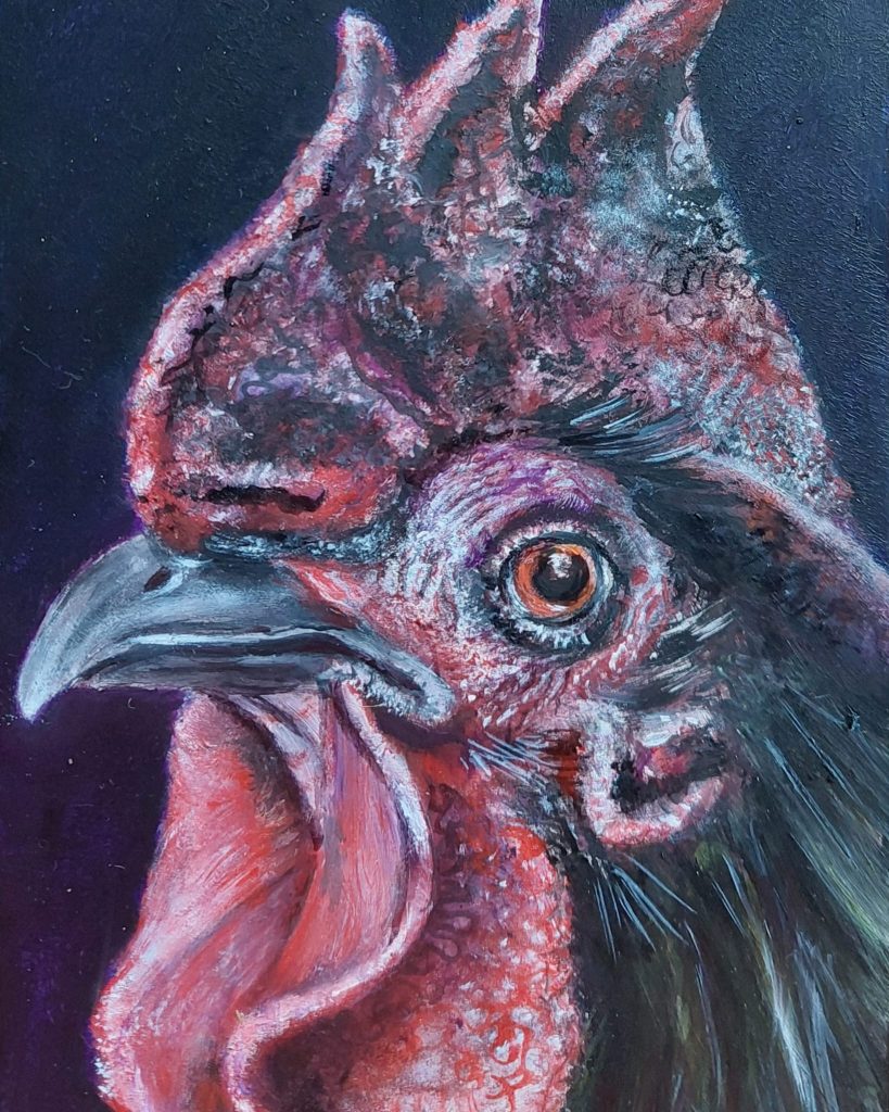 Haan olieverf op paneel 10 x 15