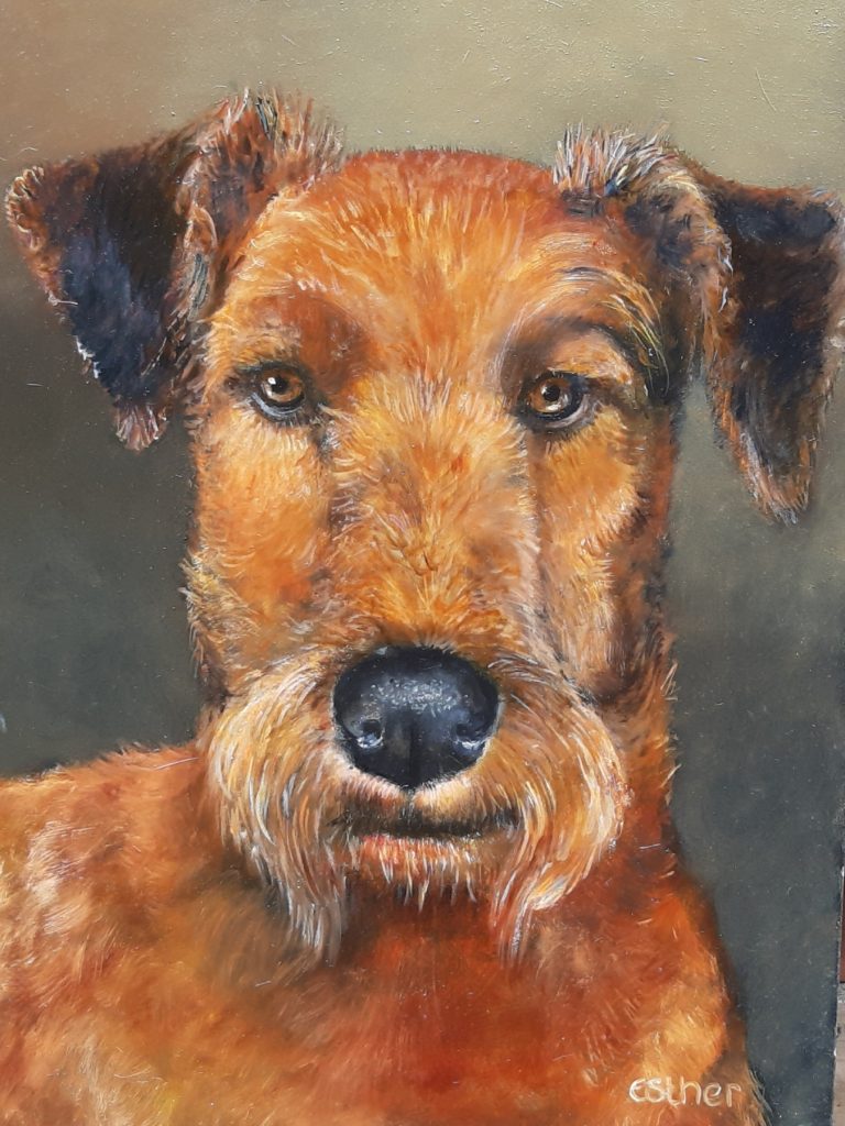Ierse terriër olieverf op paneel 35 x 40