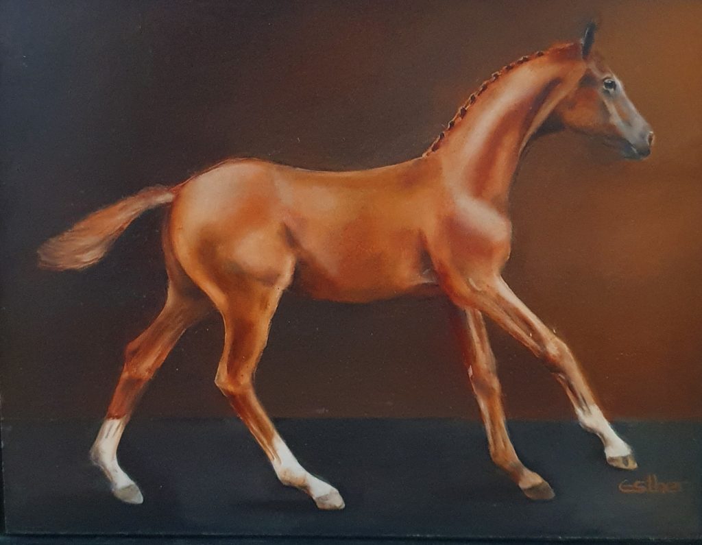 Kampioen veulen olieverf op paneel 25 x 30