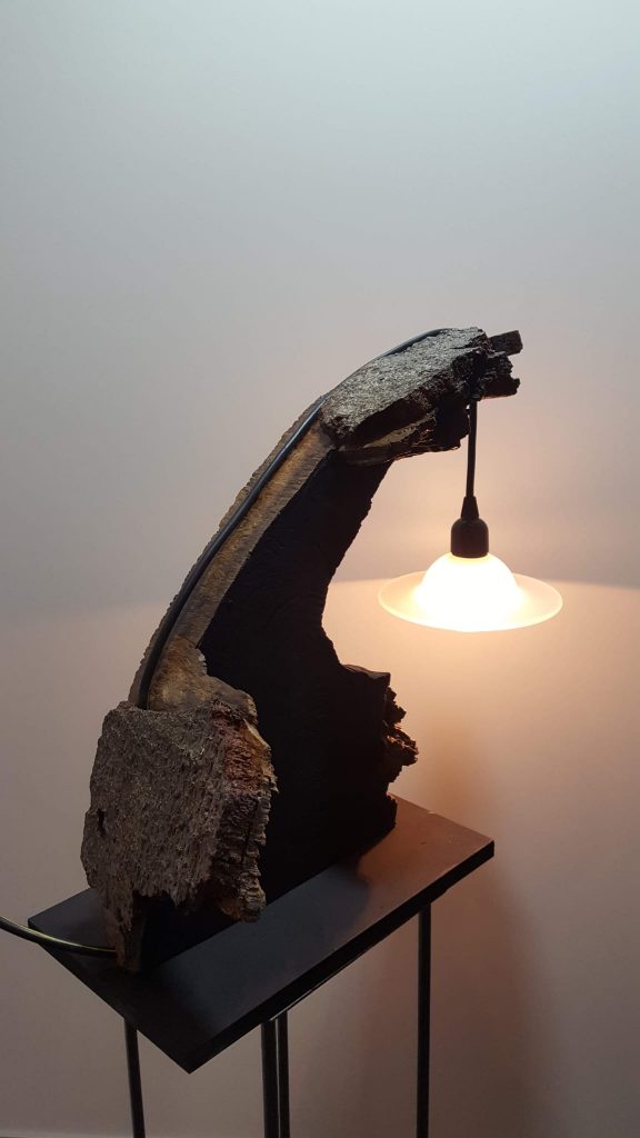 Lamp hout met schors
