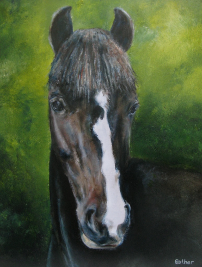 Pony olieverf op doek 30 x 40