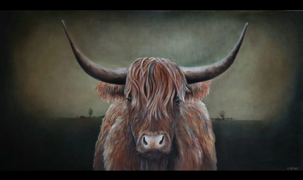 Schotse hooglander Olieverf op doek 120 x 80